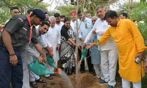 Jaipur: प्रभारी मंत्री संजय शर्मा ने स्मृति वन में किया वृक्षारोपण Jaipur: प्रभारी मंत्री संजय शर्मा ने स्मृति वन में किया वृक्षारोपण