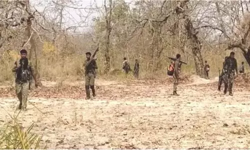 IED प्लांट करने में एक्सपर्ट चार नक्सली गिरफ्तार, सुकमा जंगल से दबोचे गए