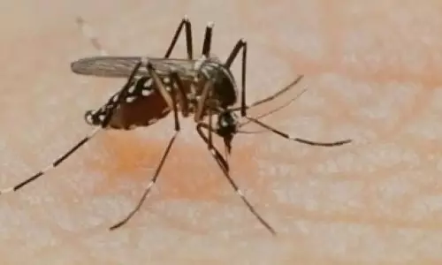 Bhubaneswar : बारिश के बाद डेंगू के मामले बढ़े, 167 मामले सामने आए