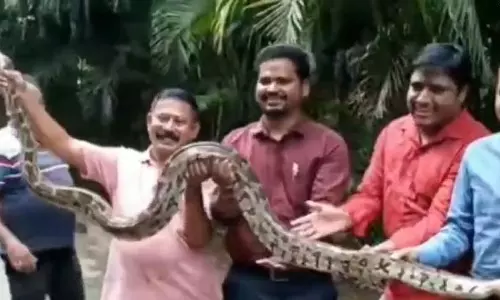 Odisha : रायगडा में उप-कलेक्टर कार्यालय में 12 फुट लंबा अजगर मिला Odisha : रायगडा में उप-कलेक्टर कार्यालय में 12 फुट लंबा अजगर मिला