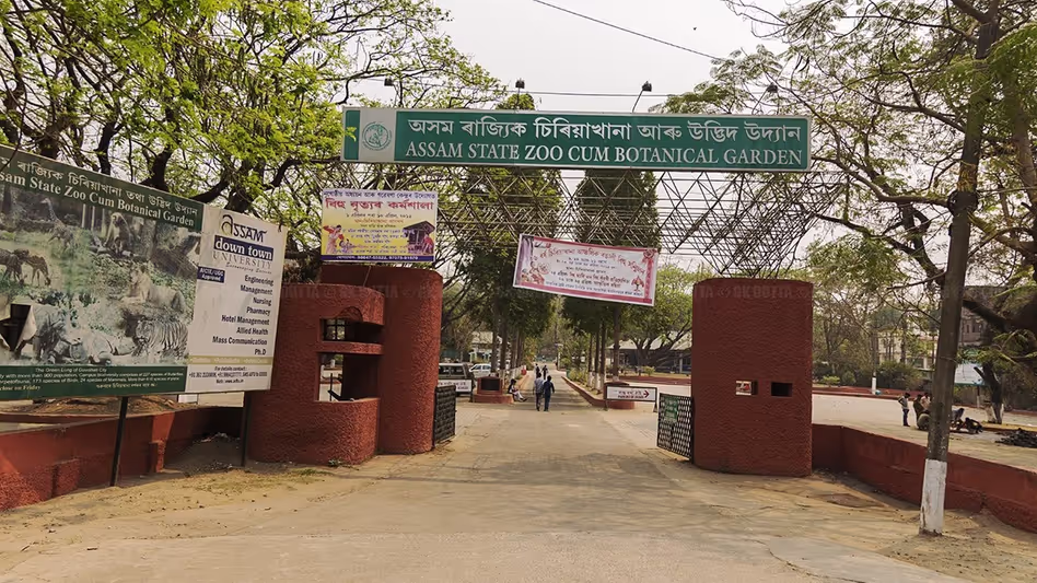 Assam चिड़ियाघर में जानवरों को बढ़ते तापमान से बचाने के लिए पंखे और कूलर लगाए Assam चिड़ियाघर में जानवरों को बढ़ते तापमान से बचाने के लिए पंखे और कूलर लगाए