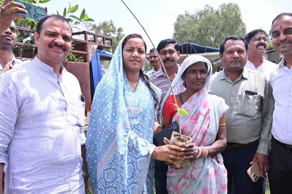 Dungarpur: जिला प्रभारी मंत्री के मुख्य आतिथ्य में जिला स्तरीय वन महोत्सव आज Dungarpur: जिला प्रभारी मंत्री के मुख्य आतिथ्य में जिला स्तरीय वन महोत्सव आज