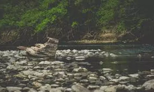 Nagaland : चाथे नदी के कटाव के कारण आपातकालीन उपाय शुरू Nagaland : चाथे नदी के कटाव के कारण आपातकालीन उपाय शुरू