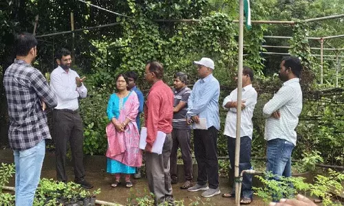 उद्यानिकी नर्सरी प्रशिक्षण केंद्र विकसित किया जाए: कलेक्टर जितेश वी पाटिल उद्यानिकी नर्सरी प्रशिक्षण केंद्र विकसित किया जाए: कलेक्टर जितेश वी पाटिल