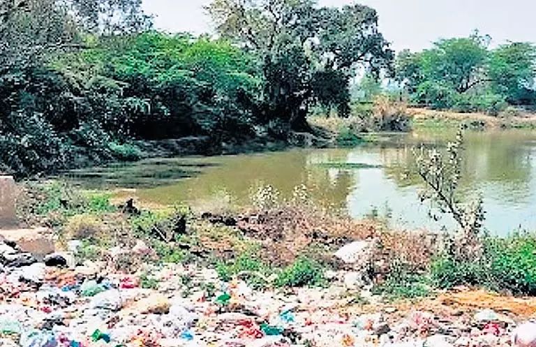 एनजीटी ने आया नगर तालाब सफाई में विफलता पर एमसीडी को फटकार लगाई एनजीटी ने आया नगर तालाब सफाई में विफलता पर एमसीडी को फटकार लगाई
