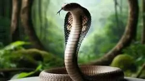 Snake Idol in Dream: सपने में नाग देवता की मूर्ति देखने का क्या मतलब है Snake Idol in Dream: सपने में नाग देवता की मूर्ति देखने का क्या मतलब है