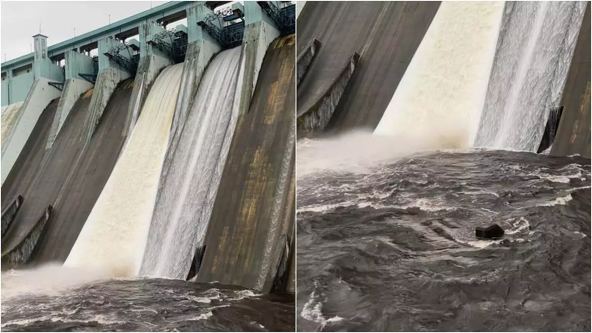 शहर की झीलें लगभग 89% भर गई ; तानसा और मोदक सागर उफान पर शहर की झीलें लगभग 89% भर गई ; तानसा और मोदक सागर उफान पर