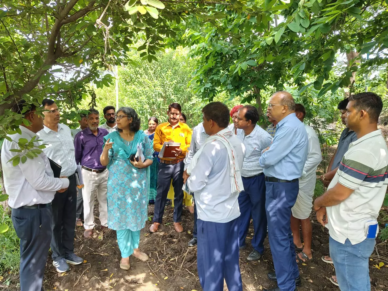 Chittorgarh: कृषि एवं उद्यानिकी आयुक्त ने किया प्रगतिशील कृषकों की उन्नत खेती का निरीक्षण Chittorgarh: कृषि एवं उद्यानिकी आयुक्त ने किया प्रगतिशील कृषकों की उन्नत खेती का निरीक्षण