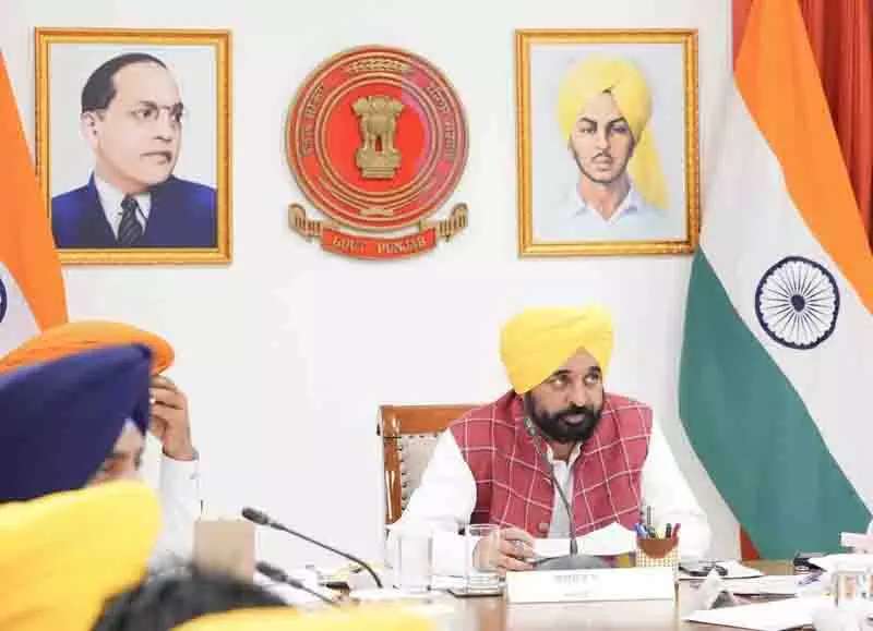 Punjab सरकार ने नकली बीजों की बिक्री को गैर-जमानती अपराध बनाया Punjab सरकार ने नकली बीजों की बिक्री को गैर-जमानती अपराध बनाया
