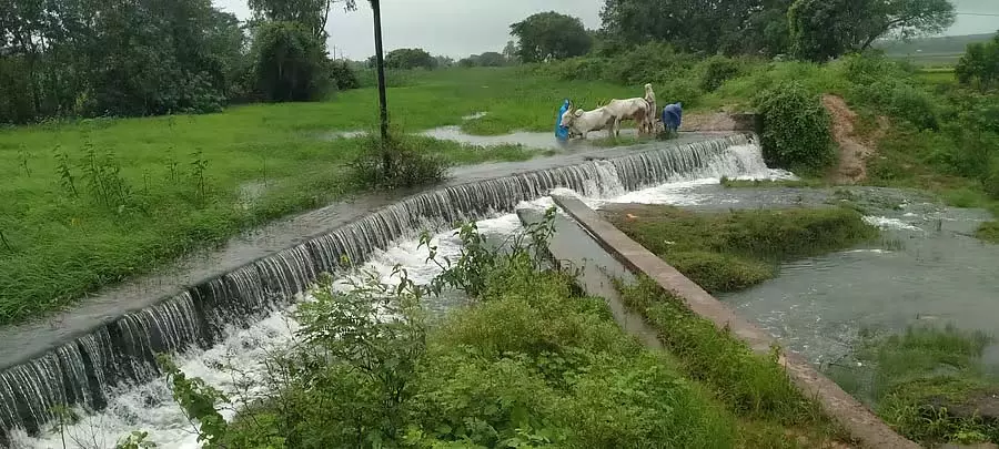 देर रात लगातार बारिश: फसल खराब होने की आशंका देर रात लगातार बारिश: फसल खराब होने की आशंका