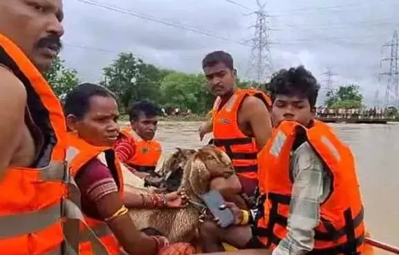 बाढ़ की चपेट में कुम्हारी-दुर्ग, फंसे चरवाहा और बकरियों का रेस्क्यू किया गया बाढ़ की चपेट में कुम्हारी-दुर्ग, फंसे चरवाहा और बकरियों का रेस्क्यू किया गया