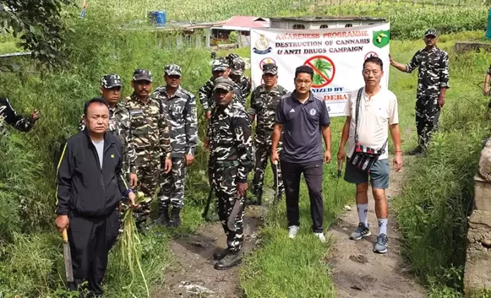 Arunachal: 4 एकड़ जंगली भांग नष्ट की गई Arunachal: 4 एकड़ जंगली भांग नष्ट की गई