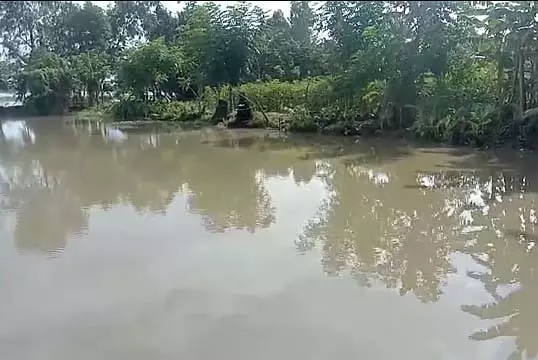 हिंगलगंज में तालाब में डूबने से सास-बहू की मौत हिंगलगंज में तालाब में डूबने से सास-बहू की मौत
