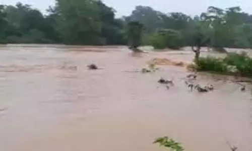 Vidisha: बारिश ने मचाई तबाही, बेतवा नदी में बह गई महिला Vidisha: बारिश ने मचाई तबाही, बेतवा नदी में बह गई महिला