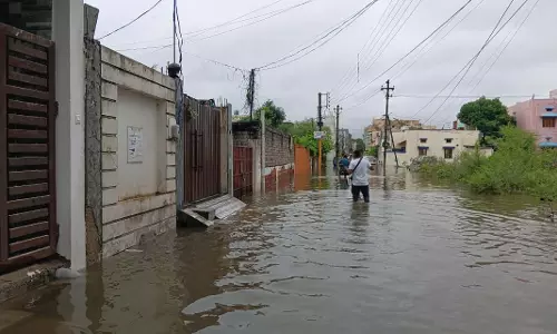 रायपुर : प्रोफेसर कॉलोनी में जलभराव, घर अंदर पानी रायपुर : प्रोफेसर कॉलोनी में जलभराव, घर अंदर पानी