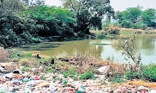 एनजीटी ने आया नगर तालाब सफाई में विफलता पर एमसीडी को फटकार लगाई