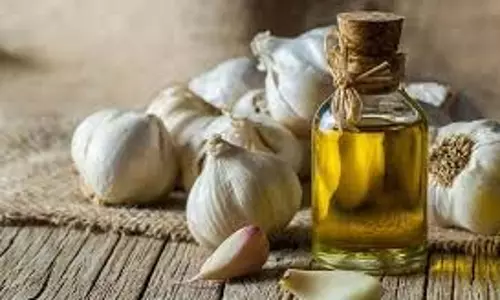 Health: लहसुन का तेल हड्डियों के लिए है बेहद फायदेमंद, जोड़ों का दर्द मिनटों में होगा गायब, जानें कैसे करें इस्तेमाल Health: लहसुन का तेल हड्डियों के लिए है बेहद फायदेमंद, जोड़ों का दर्द मिनटों में होगा गायब, जानें कैसे करें इस्तेमाल