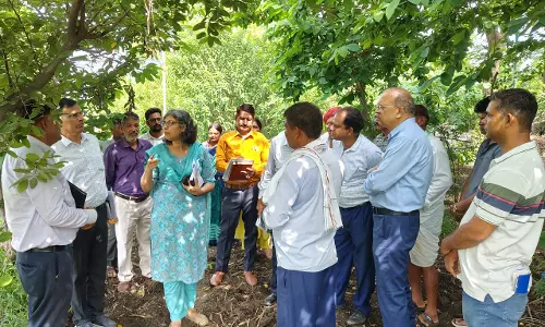 Chittorgarh: कृषि एवं उद्यानिकी आयुक्त ने किया प्रगतिशील कृषकों की उन्नत खेती का निरीक्षण
