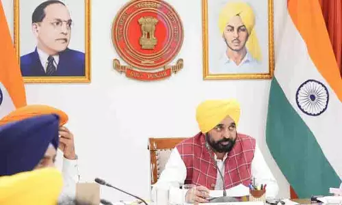 Punjab सरकार ने नकली बीजों की बिक्री को गैर-जमानती अपराध बनाया