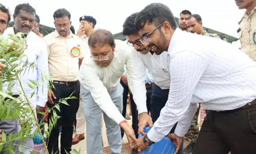 सक्ती जिले में सामूहिक पौधरोपण महाअभियान का हुआ आयोजन