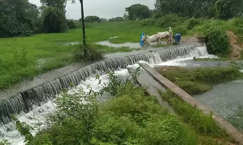 देर रात लगातार बारिश: फसल खराब होने की आशंका देर रात लगातार बारिश: फसल खराब होने की आशंका