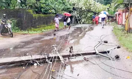 Kerala : चक्रवात मिन्नल ने जिले के विभिन्न हिस्सों में भारी नुकसान पहुंचाया