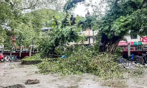 Kerala : भारी बारिश के कारण कुट्टनाड में जलस्तर बढ़ा Kerala : भारी बारिश के कारण कुट्टनाड में जलस्तर बढ़ा
