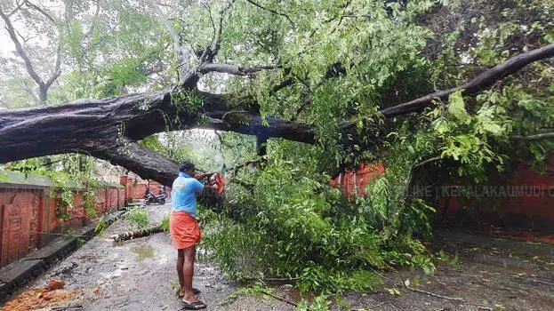Kozhikode में बिजली का तूफ़ान, बिजली गुल और मौतें; केरल में बारिश ने तबाही मचाई Kozhikode में बिजली का तूफ़ान, बिजली गुल और मौतें; केरल में बारिश ने तबाही मचाई