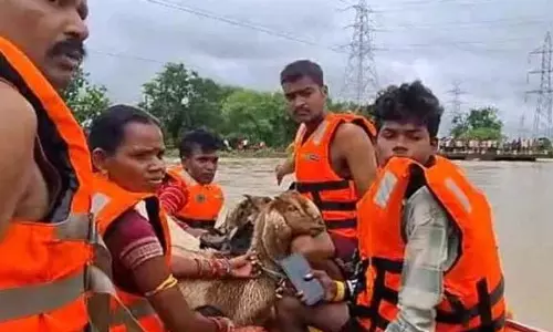बाढ़ की चपेट में कुम्हारी-दुर्ग, फंसे चरवाहा और बकरियों का रेस्क्यू किया गया बाढ़ की चपेट में कुम्हारी-दुर्ग, फंसे चरवाहा और बकरियों का रेस्क्यू किया गया