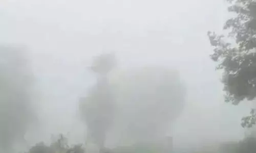 भोरमदेव घाटी में कश्मीर जैसा नजारा