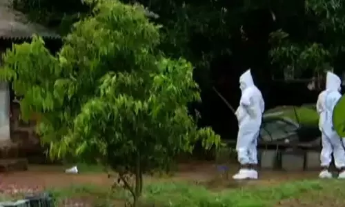 ओडिशा में बर्ड फ्लू, खोरधा में पक्षियों को मारा जा रहा