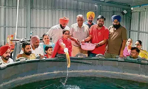 Ludhiana: पशु चिकित्सालय में तीन दिवसीय बायोफ्लोक आधारित जलकृषि प्रशिक्षण का समापन Ludhiana: पशु चिकित्सालय में तीन दिवसीय बायोफ्लोक आधारित जलकृषि प्रशिक्षण का समापन