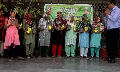 Baghpat: प्रधानमंत्री आवास योजना के तहत लाभार्थियों को बांटे गए सहजन के पौधे Baghpat: प्रधानमंत्री आवास योजना के तहत लाभार्थियों को बांटे गए सहजन के पौधे