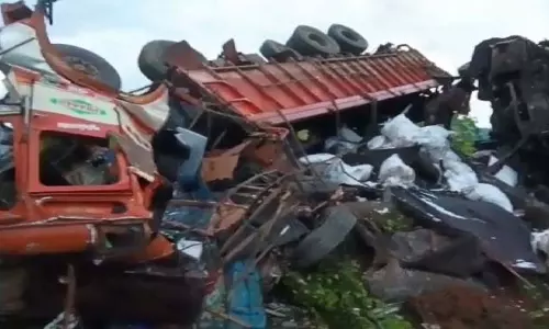 दसपल्ला में भीषण सड़क हादसा, कुत्ते को बचाने में गई 3 जानें
