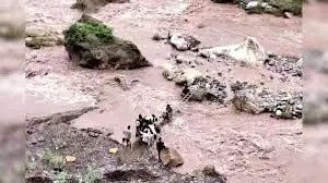 Himachal: राशन ले जा रही महिला अचानक लकड़ी के पुल से फिसली, मची अफरा-तफरी Himachal: राशन ले जा रही महिला अचानक लकड़ी के पुल से फिसली, मची अफरा-तफरी