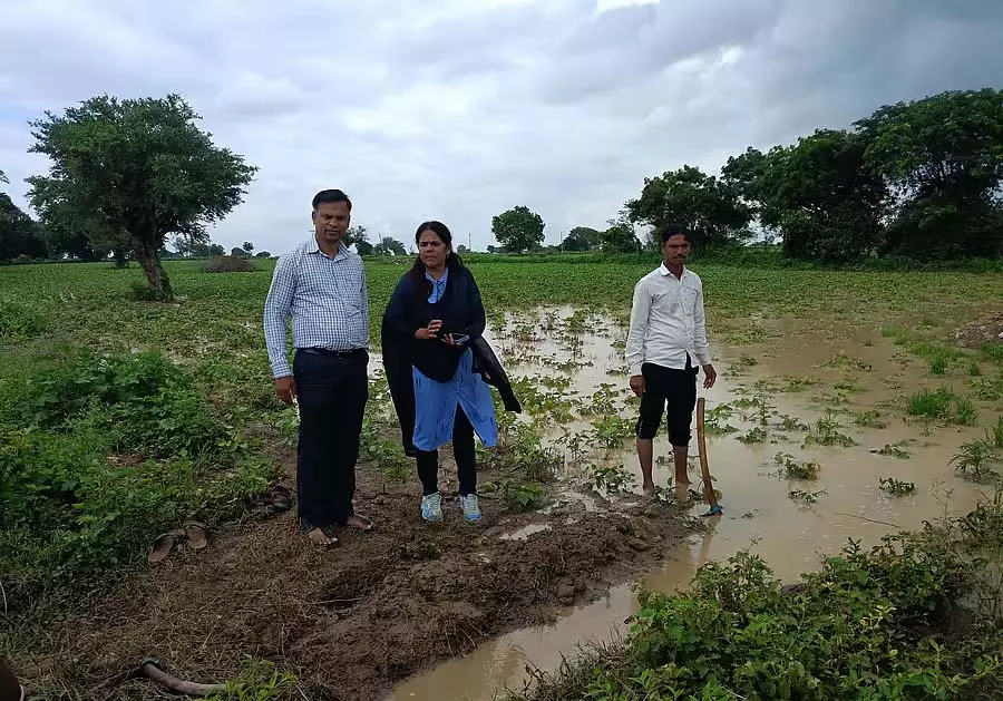 Sedum : भारी बारिश से खाद्य विक्रेता चिंतित Sedum : भारी बारिश से खाद्य विक्रेता चिंतित