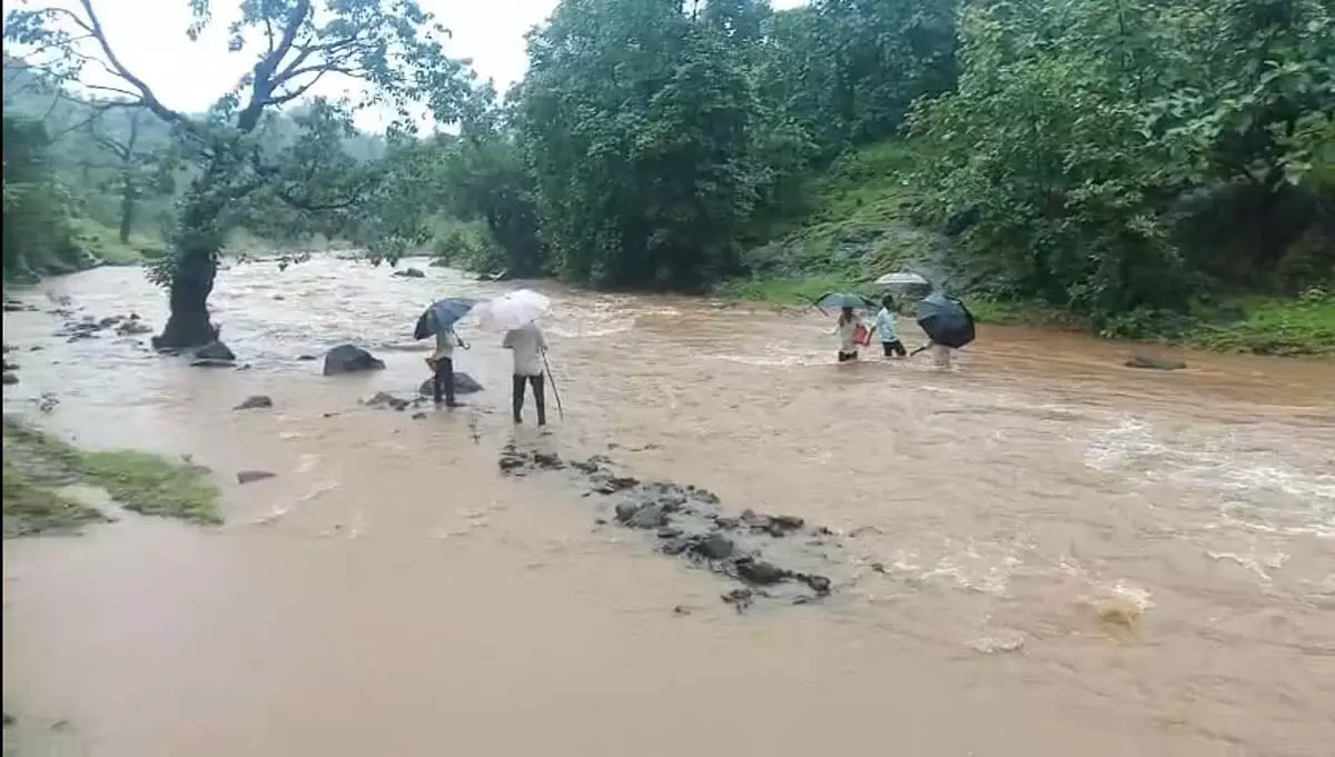 Nashik : छात्र और ग्रामीण कीचड़ से होकर रोज़ाना गुजरने को मजबूर Nashik : छात्र और ग्रामीण कीचड़ से होकर रोज़ाना गुजरने को मजबूर