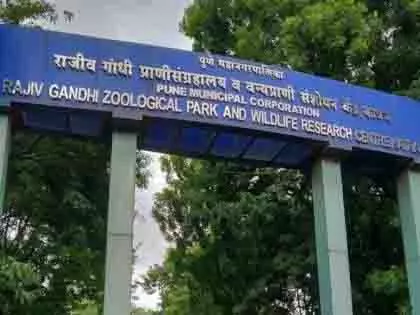 चीतल हिरण की मौत पर स्पष्टीकरण दें, अपर आयुक्त ने दी कार्रवाई की चेतावनी चीतल हिरण की मौत पर स्पष्टीकरण दें, अपर आयुक्त ने दी कार्रवाई की चेतावनी