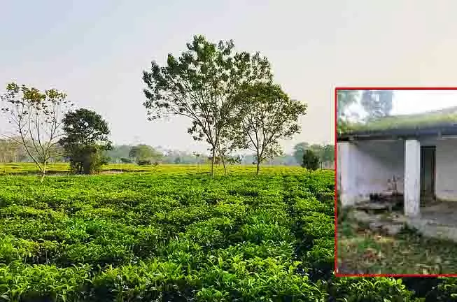 टीएमसी ने चावल के घरों में लीकेज की घटना को लेकर केंद्रीय मंत्री की आलोचना की टीएमसी ने चावल के घरों में लीकेज की घटना को लेकर केंद्रीय मंत्री की आलोचना की