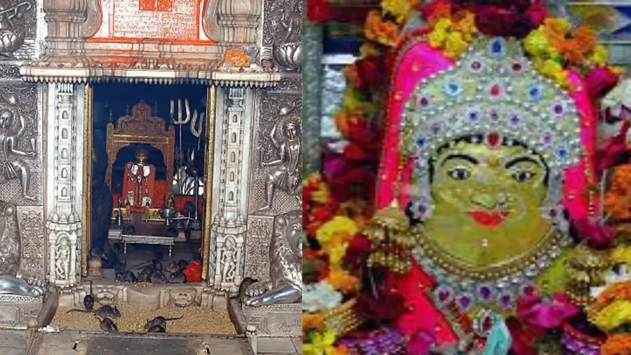 Rajasthan का चमत्कारी मंदिर, जहां चूहे हैं आस्था का प्रतीक