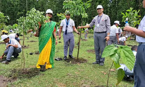 Ajmer: जिला स्तरीय वन महोत्सव कार्यक्रम आज