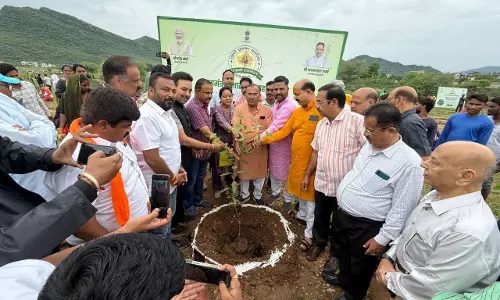 Ajmer : हरियालो राजस्थान मिशन नगर निगम द्वारा लगाए गए 31 हजार पौधे