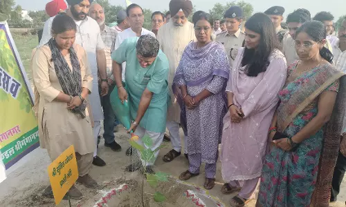 Rajasthan में वृहद पौधारोपण अभियान, 5 वर्षों में 50 करोड़ पौधों का लक्ष्य निर्धारित Rajasthan में वृहद पौधारोपण अभियान, 5 वर्षों में 50 करोड़ पौधों का लक्ष्य निर्धारित