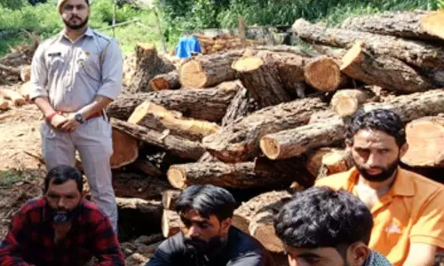 Himachal: वन अधिकारियों ने 300 खैर की लकड़ियों के साथ लकड़ी तस्करों को गिरफ्तार किया Himachal: वन अधिकारियों ने 300 खैर की लकड़ियों के साथ लकड़ी तस्करों को गिरफ्तार किया