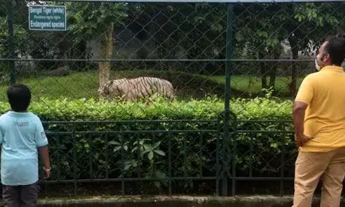 CZMA और राज्य वन विभाग ने की कार्रवाई, चिड़ियाघर प्रशासन से मांगा जवाब