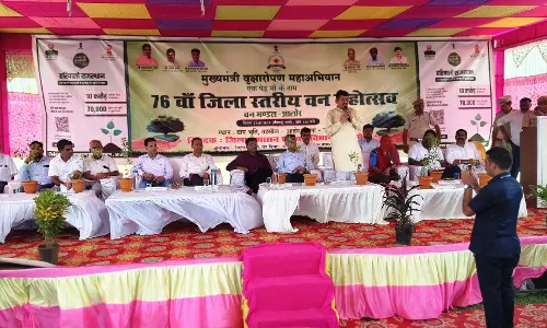 Jalore: भूति ग्राम में 76वां जिला स्तरीय वन महोत्सव, 1000 पौधों का किया गया रोपण Jalore: भूति ग्राम में 76वां जिला स्तरीय वन महोत्सव, 1000 पौधों का किया गया रोपण