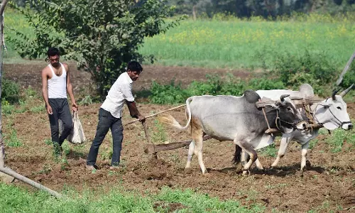 किसान की सालाना कमाई ₹3 दिखाने वाले आय प्रमाण पत्र को अधिकारियों ने लिपिकीय त्रुटि बताया