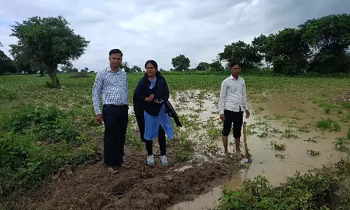 Sedum : भारी बारिश से खाद्य विक्रेता चिंतित