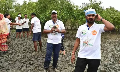 ग्रीन इंडिया चैलेंज ने Sundarbans में मैंग्रोव वृक्षारोपण का बीड़ा उठाया