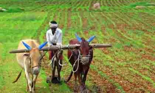 राज्य सरकार ने बेमौसम बारिश से प्रभावित किसानों के लिए 26 करोड़ रुपये के कोष को मंजूरी दी